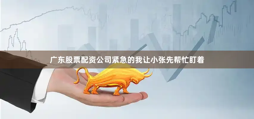 广东股票配资公司紧急的我让小张先帮忙盯着
